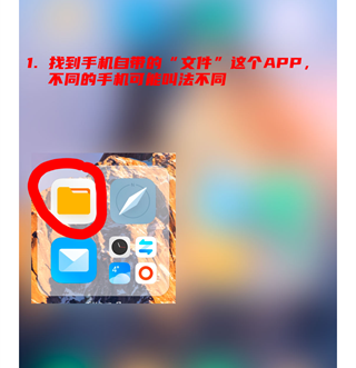 熊拍拍最新版